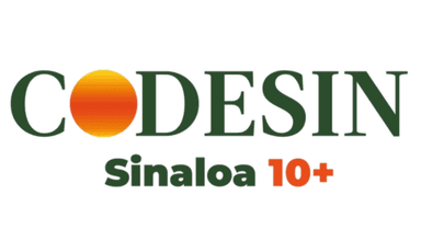 CODESIN 10+