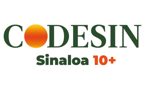 CODESIN 10+